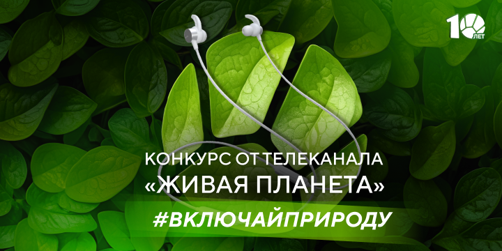 Покажи красоту России: телеканал «Живая Планета» запускает конкурс в ОК