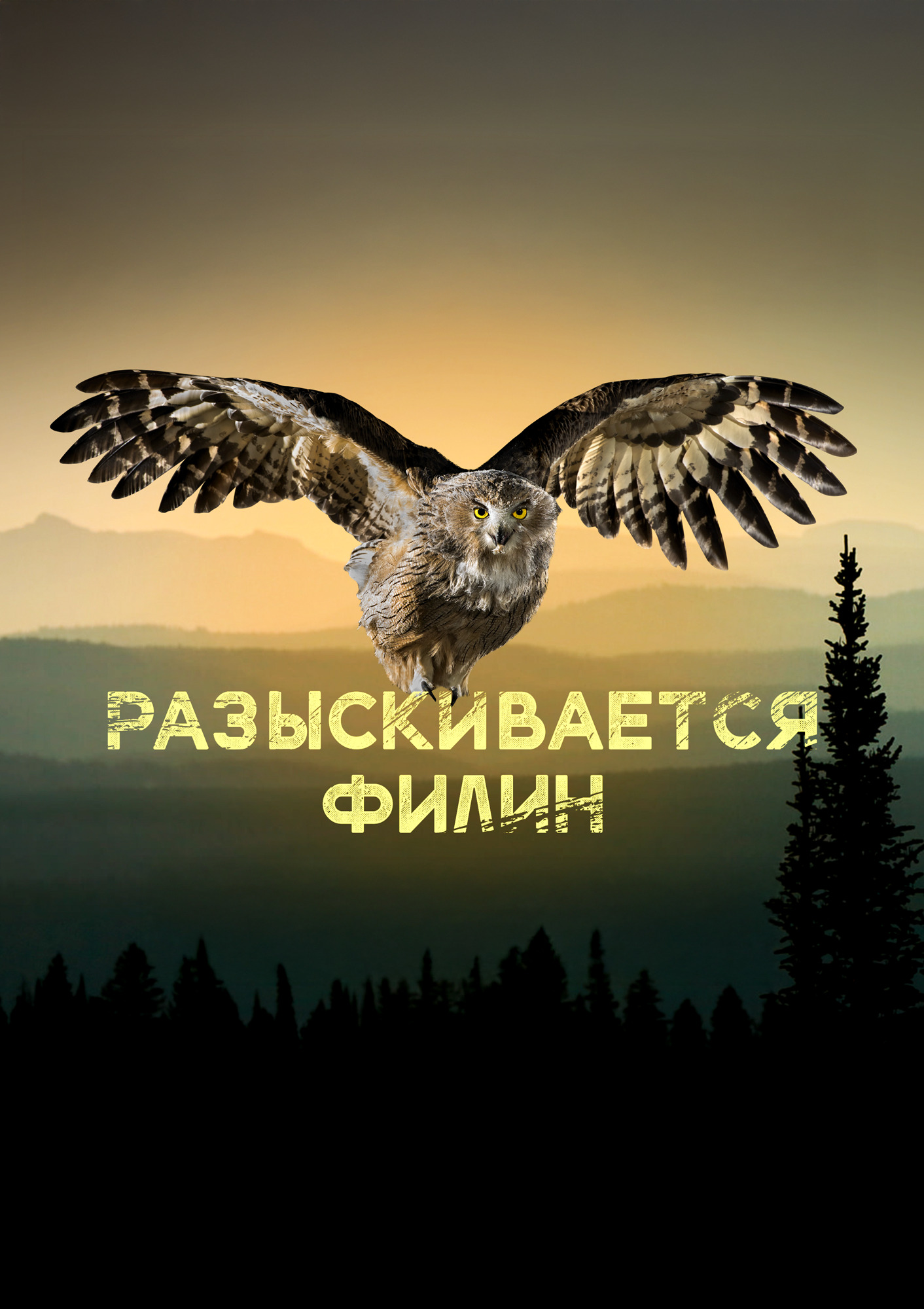 Разыскивается филин