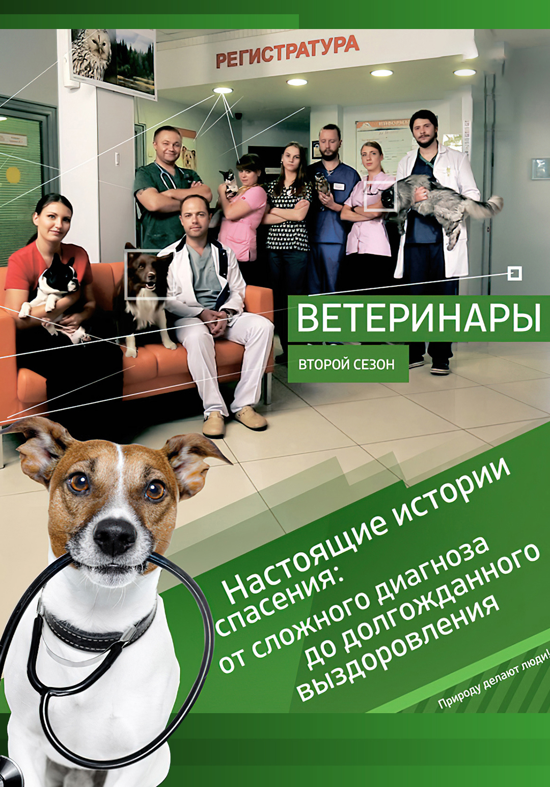 Ветеринары
