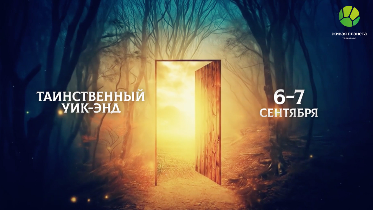 Замерзшие медузы, чувства растений и возрождение мамонта: таинственный уик-энд на «Живой Планете»