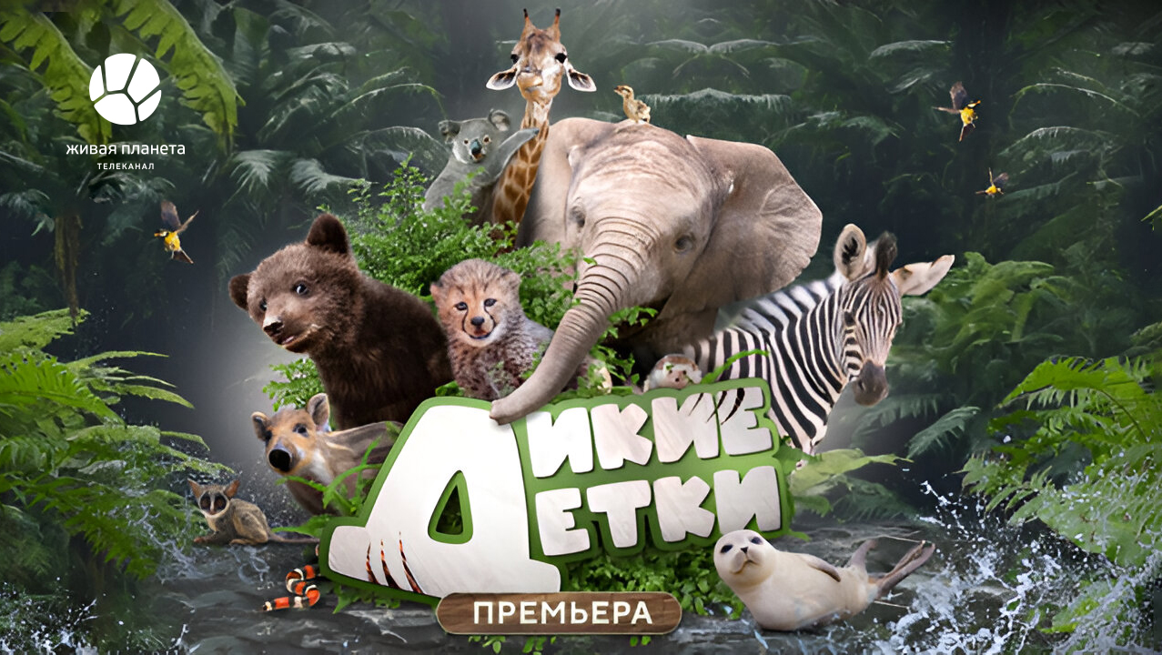 Из жизни малышей: на телеканале «Живая Планета» стартует проект «Дикие детки»