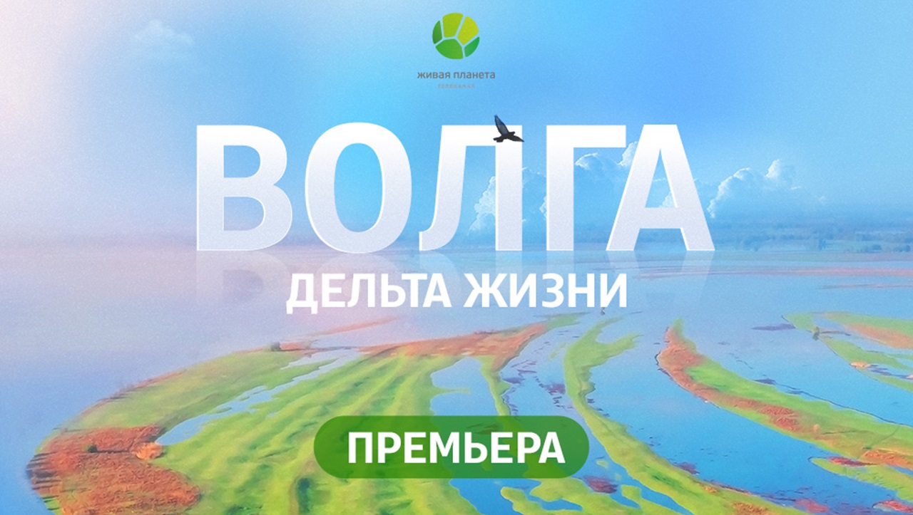 «Волга: дельта жизни» — большая премьера на «Живой Планете»