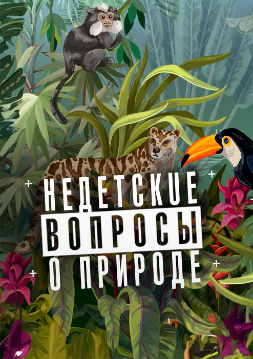 Недетские вопросы о природе