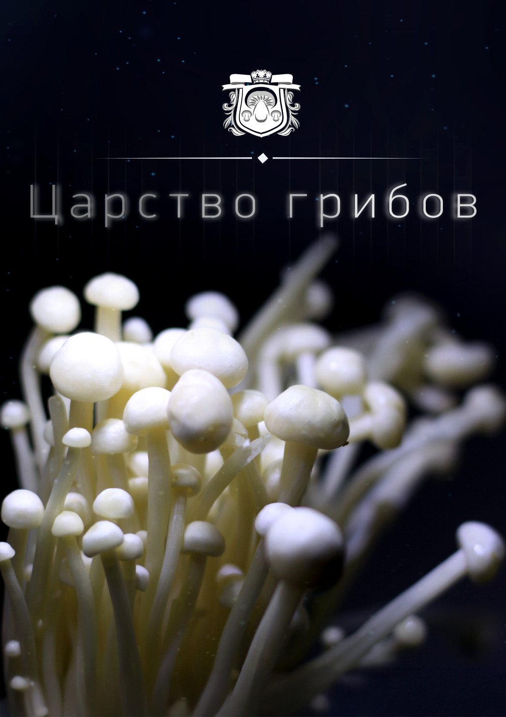 Царство грибов