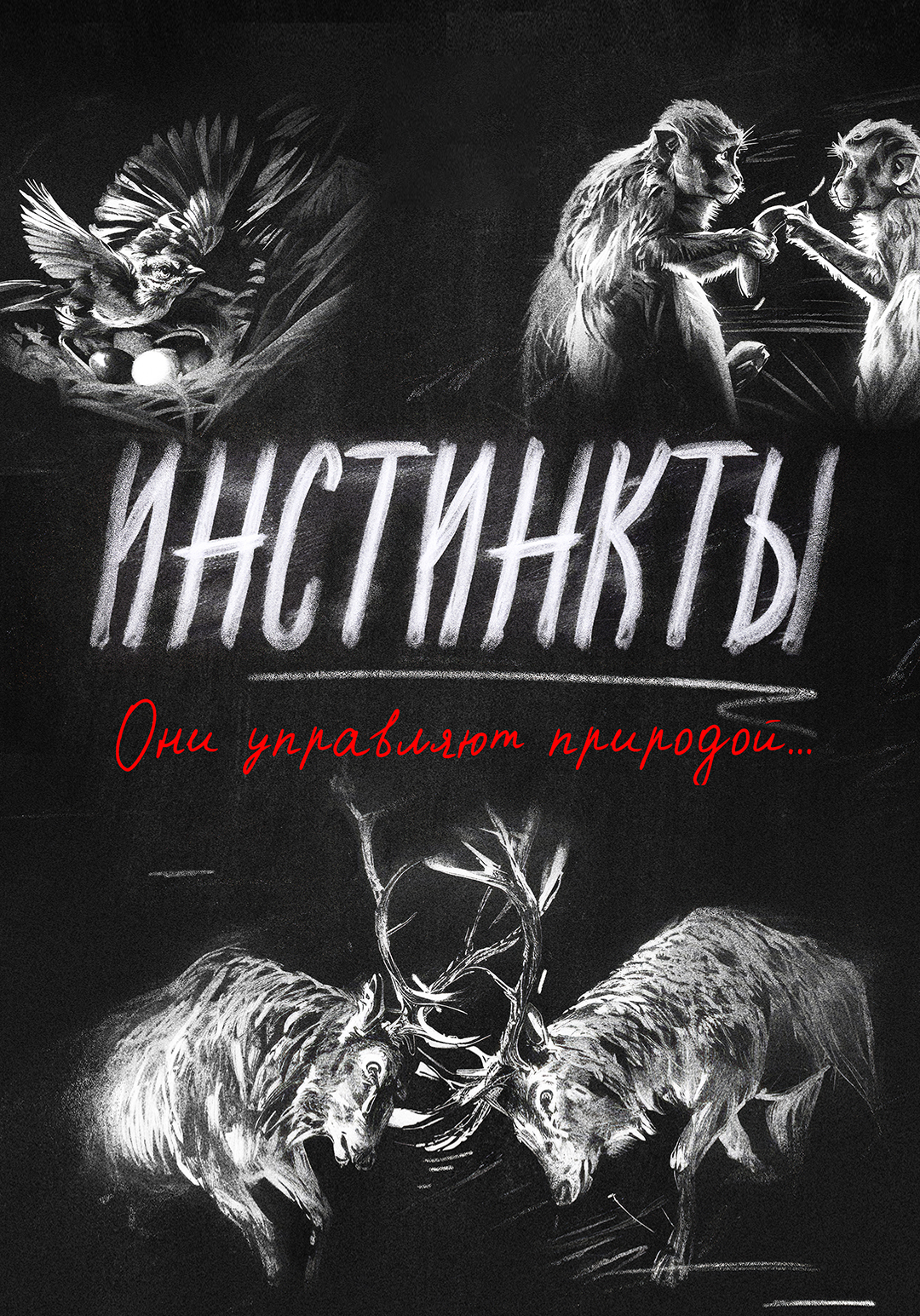 Инстинкты