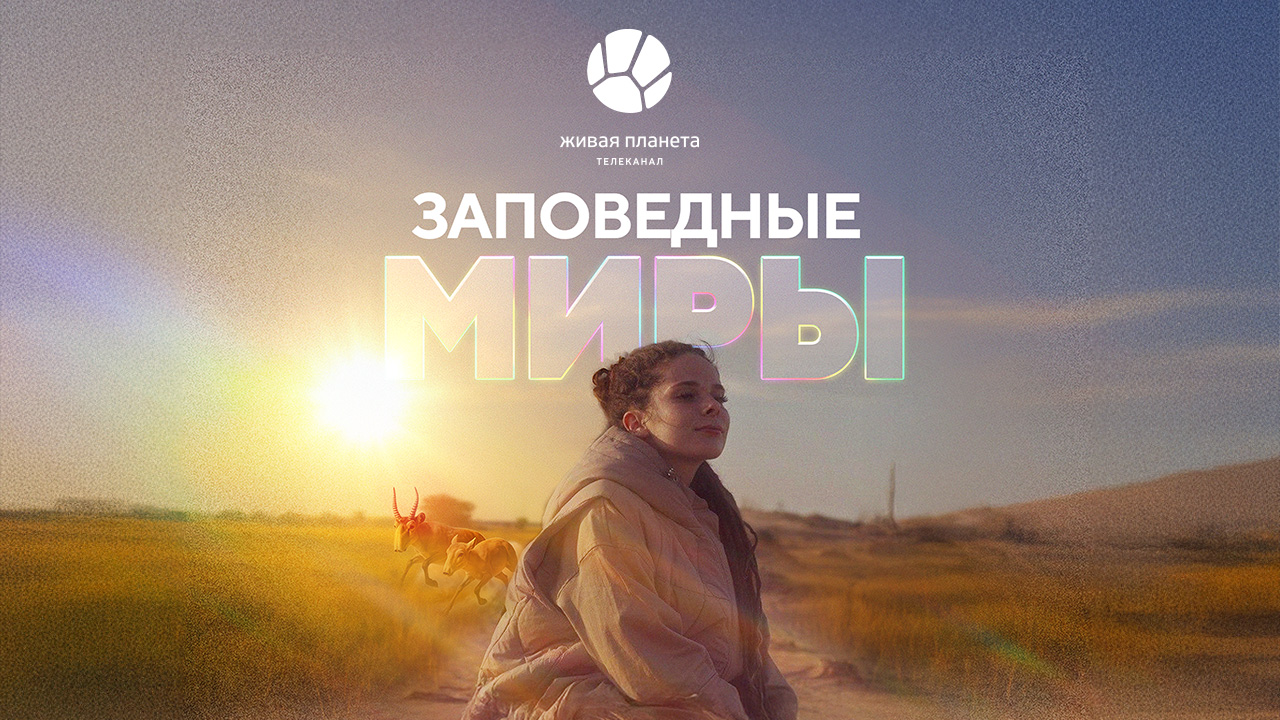 Проект «Заповедные миры» телеканала «Живая Планета» получил награду Международного телекинофорума «Новая реальность»  