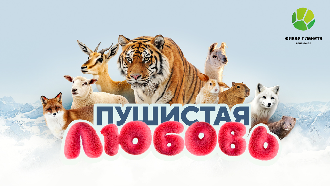 «Пушистая любовь» на «Живой Планете»: два дня нежности, открытий и удивительных историй!