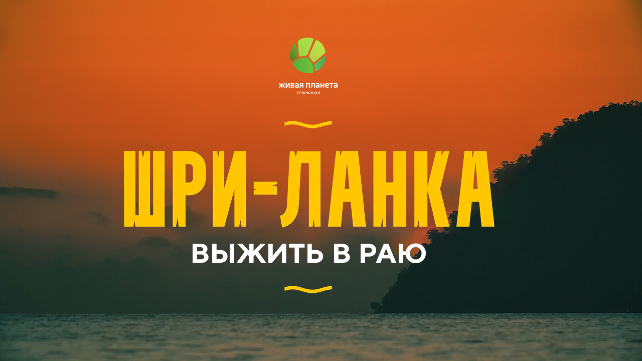 Фильм телеканала «Живая Планета» о Шри-Ланке покажут в доме-музее имени Чехова