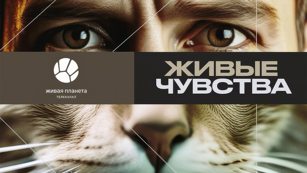 Секреты восприятия: телеканал «Живая Планета» представляет проект «Живые чувства»