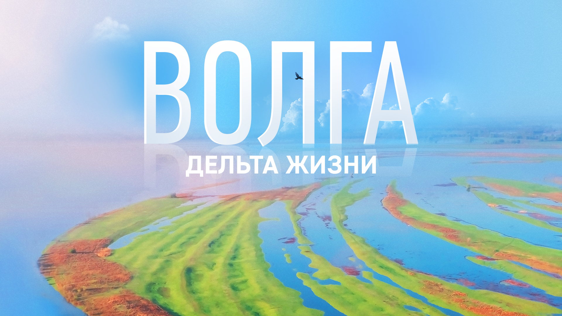 Скоро на экранах: документальный фильм Ильи Долгова «Волга: дельта жизни»