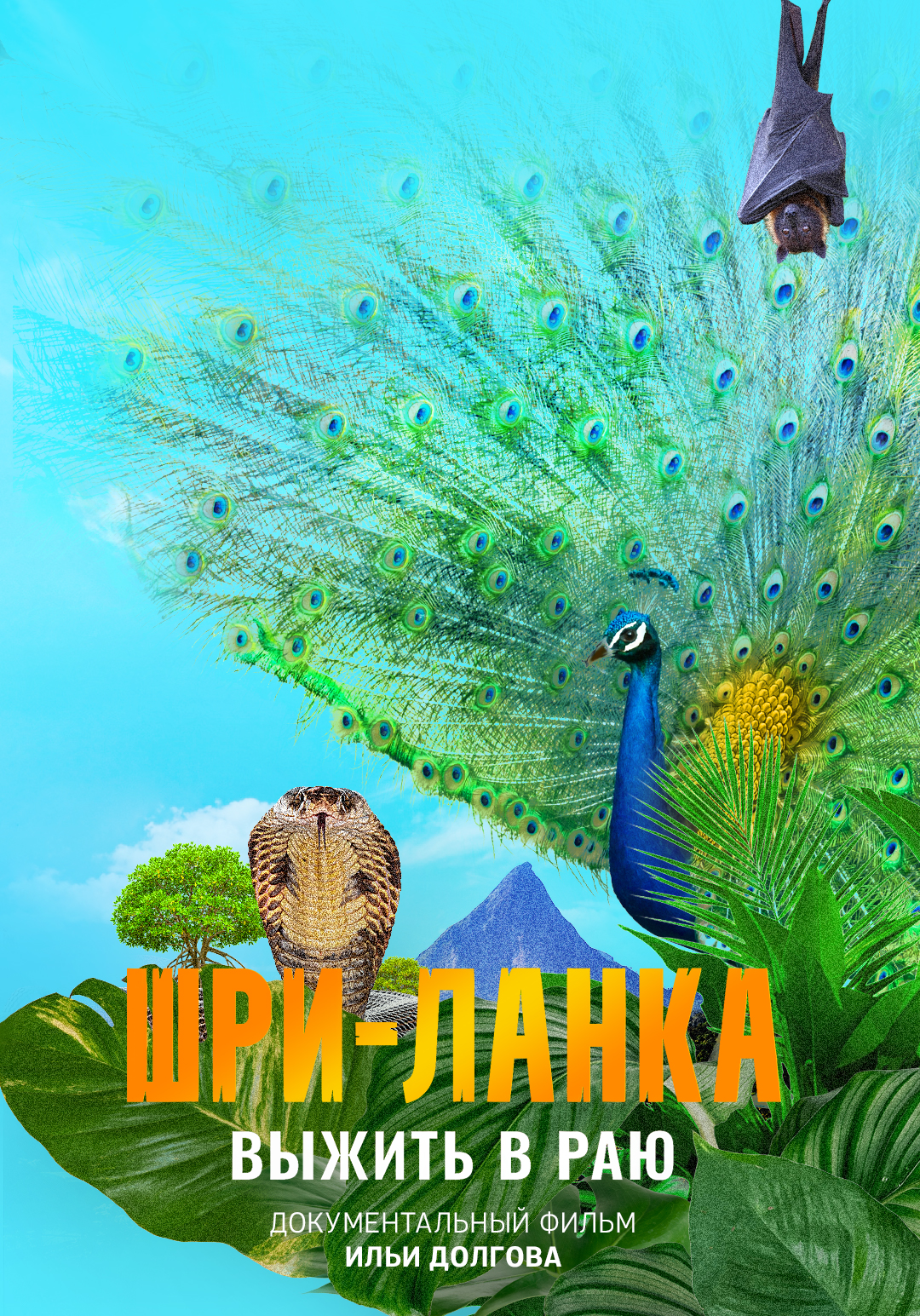 Шри-Ланка: выжить в раю