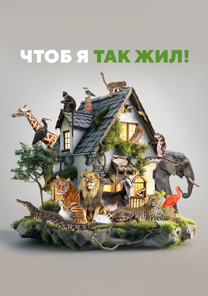 Чтоб я так жил