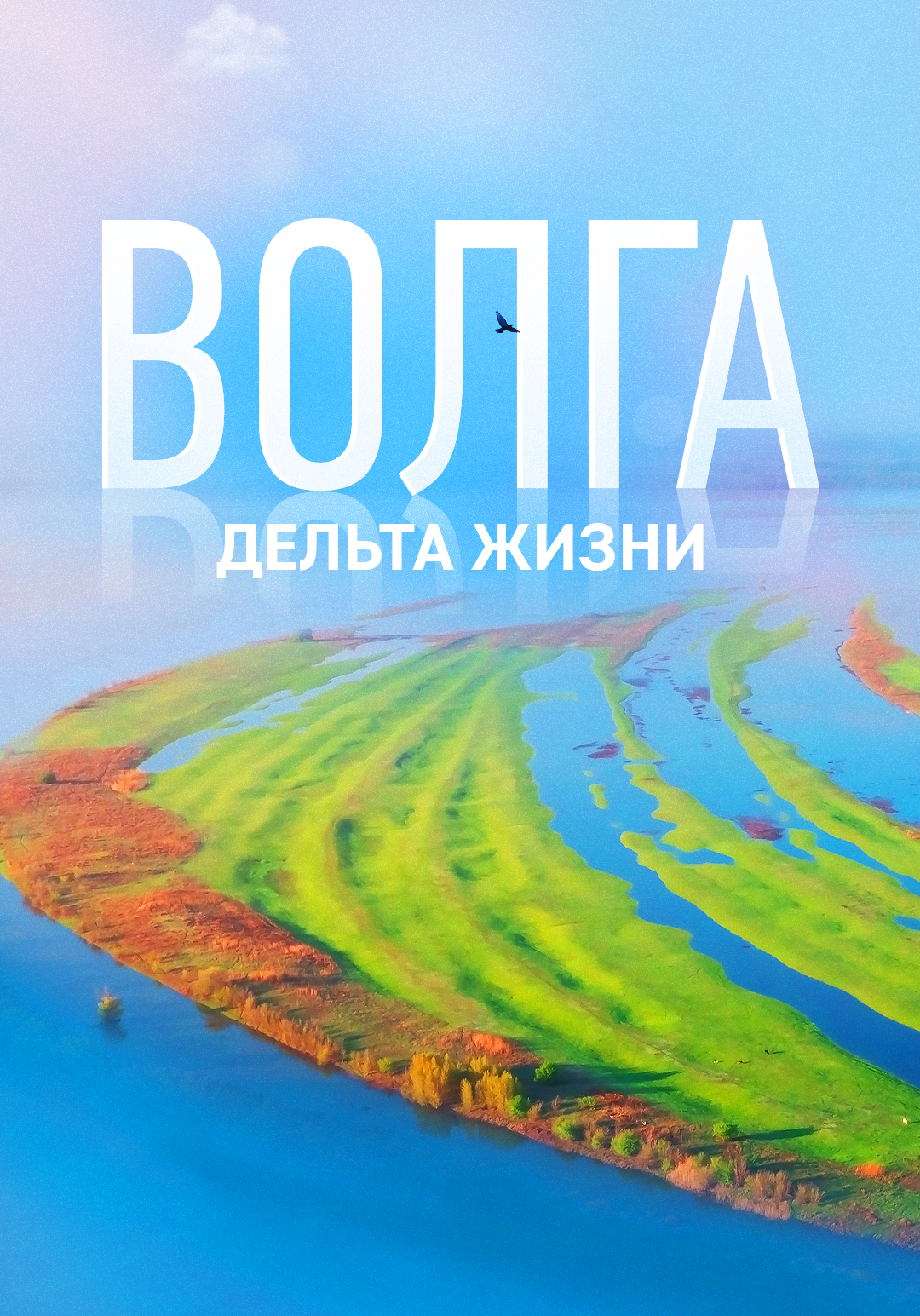 Волга: дельта жизни