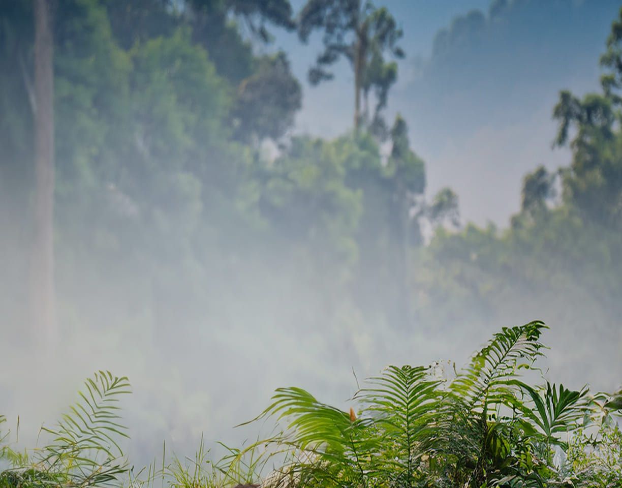 Александр Хабургаев