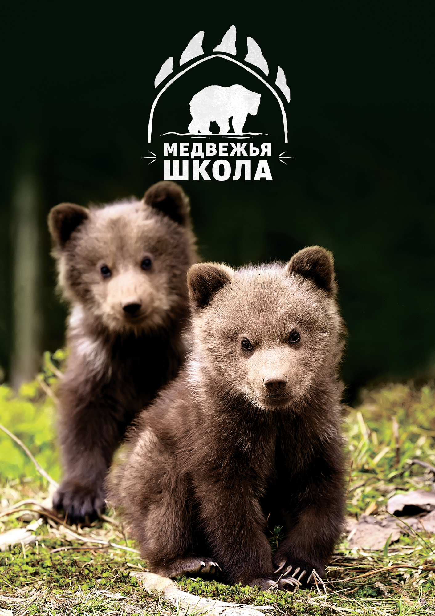 Медвежья школа