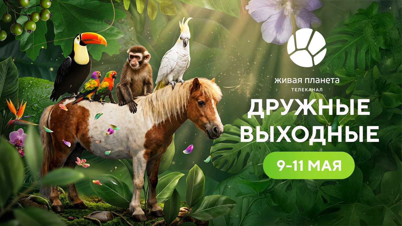 Природа объединяет: Дружные выходные на «Живой Планете» 
