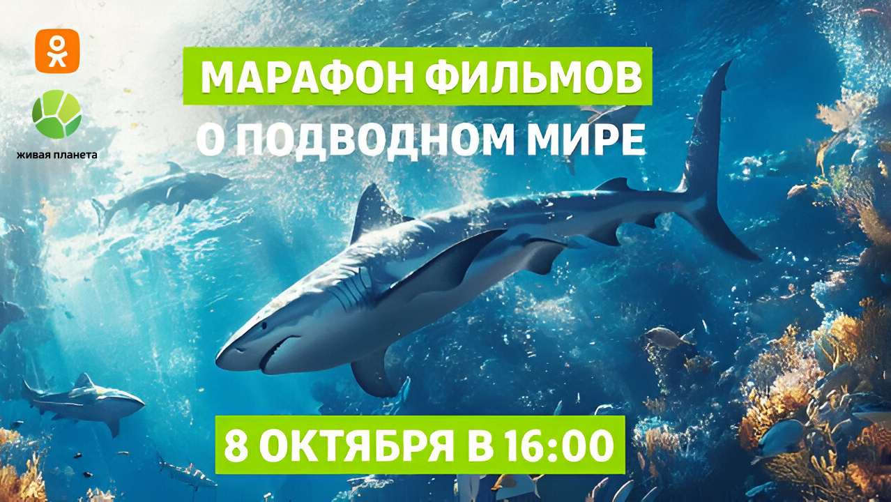 Тайны подводного мира в марафоне фильмов «Живой Планеты»