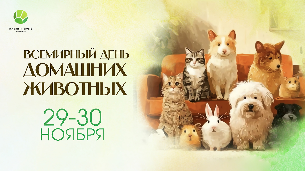 «Живая Планета» отмечает Всемирный день домашних животных